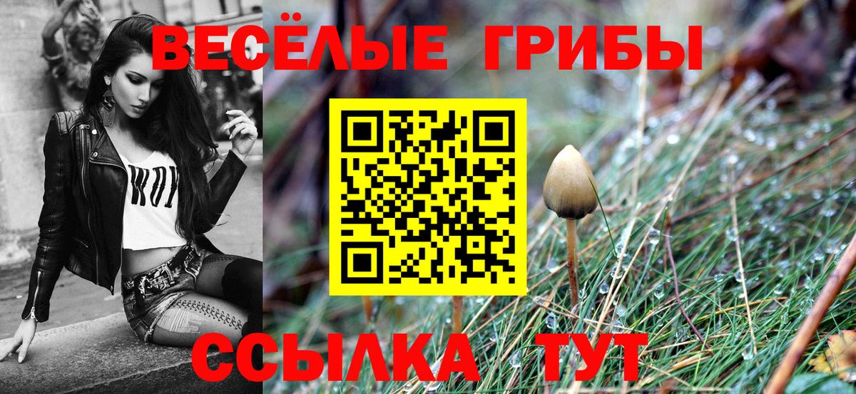Галлюциногенные грибы мицелий  Вход с VPN  купить наркоту  Самара 