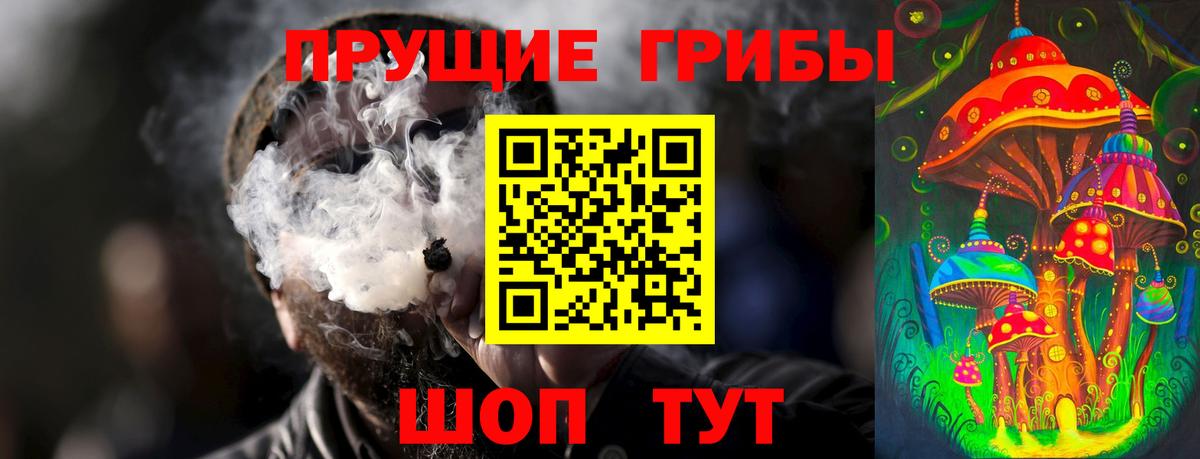 Псилоцибиновые грибы прущие грибы Самара